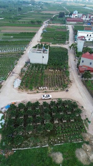 bán đất đấu giá hoàng trạch, mễ sở