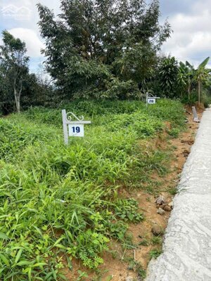 DUY NHẤT HÔM NAY CÒN 2 LÔ ĐẤT LỘC NAM GIÁ TỪ 5XX