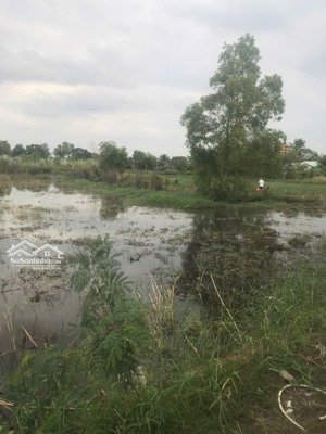 ngộp hạ giá bán nhanh lô góc 2 mặt tiền bà chả hưng long