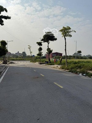 đất đầu giá 116m2 lễ pháp, tiên dương, đông anh, vị trí kim cương tăng giá siêu cấp giá chỉ 23.5 tỷ