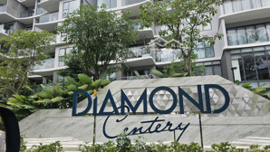 cho thuê 02 căn hộ liền kề diamond centery celadon city