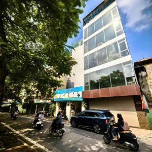 cho thuê nhà 6 tầng thang máy, 95m² thông sàn - nguyên hồng - 55tr/th