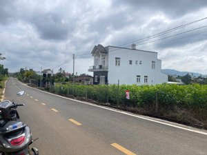 đất bảo lộc - hẻm 172 lên phụng hiểu dt 499m2 (9mx55m) sẵn thổ cư - hẻm 2 oto né nhau