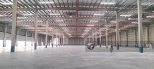 cho thuê kho xưởng tiêu chuẩn tại thuận thành, bắc ninh. dt: 2.000m2 80.000m2