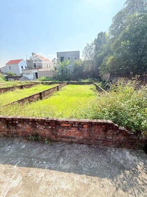 đất hiếm gia lâm, ô tô vào đất, giá chỉ hơn 2 tỷ, đầu hay ở đều hết nước chấm.