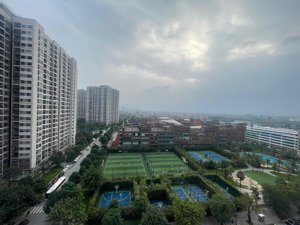 cho thuê căn hộ 1pn 6tr5 43m2 tại the sapphire 1, đa tốn, gia lâm, hà nội,