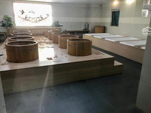 bán nhà nguyễn thiện thuật 725.1m2 7 tầng - 260 tỷ - tòa nhà kinh doanh spa cao cấp bình thạnh
