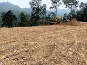 bán đất đẹp trung tâm phượng sơn thị xã chũ, lục ngạn, bắc giang diện tích: 700m2 sổ đỏ chính chủ