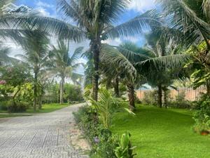 Bán Resot biển Long Hải - Bà Rịa Vũng Tàu