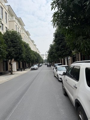 bán bt view đẹp tại vinhomes ocean park 3, 9,5 tỷ, 60m2