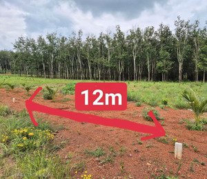 đất sào tân hiệp 1200m2 630tr bao sổ - cách thpt nguyễn huệ 800m - cách dh508 500m đầy đủ tiện ích