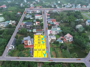 xuân linh xuân mai chưa bao giờ hết hot ạ, bên em mở ban quỹ đất f0