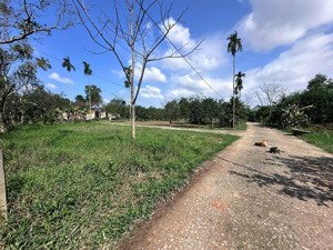 chính chủ bán lô đất 2 mặt tiền đường quy hoạch 8m5 tổ dân phố vĩnh nguyên, thị trấn phong điền