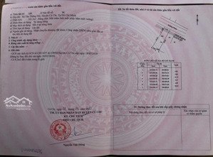 chính chủ: đất liêu bình hương, giá giảm 1 tỷ, 5x20=101 m2, shr, xây tự do cạnh chợ việt kiều