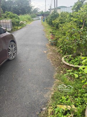 đất bến cát cũ thới hoà, nhựa 4,5m xây trọ ok 6x54,8m thổ cư 288m2