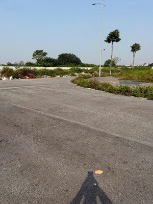 x7 lễ pháp, tiên dương, đông anh 85m2 lô đẹp vị trí vàng tiềm năng tăng giá mạnh chỉ 1x tỷ