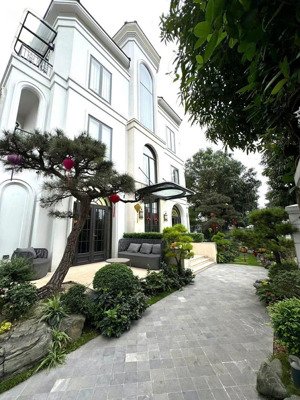 cho thuê biệt thự đơn lập góc, hiếm! diện tích 250m2, 5pn, có thang máy. nội thất luxury. giá 70tr