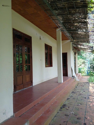 bán trang trại, khu nghỉ dưỡng tại xã minh phú, sóc sơn, hà nội, 4,5 tỷ, 1080m2 view đẹp hot!