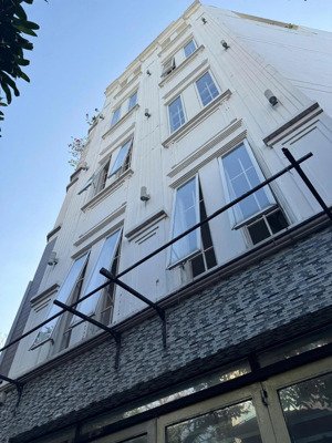 bán nhà lô góc hxh trần khánh dư quận 1, 5x10m, kc 5 tầng chỉ 12 tỷ