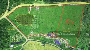 đất rộng ôm suối vị trí cực đẹp ngay chùa di đà, giá cực mềm cho nhà đầu tư đón đầu cú hích cao tốc