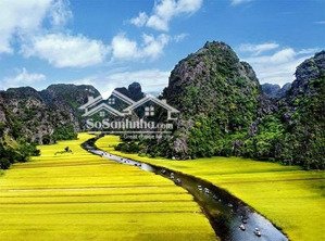 bán gấp đất tại khu du lịch tam cốc - bích động, 28 tỷ, 213m2, hoa lư, ninh bình