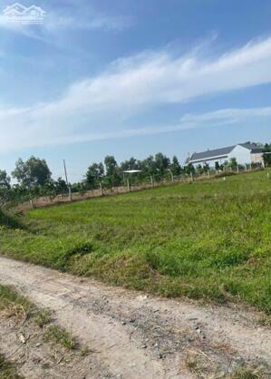 Bán đất thổ cư xã Mỹ Hạnh Bắc , Đức Hòa dt 240m2 giá 1,2 tỷ