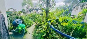 nhà vườn thiên nhiên xanh ngát 4 tầng huỳnh văn bánh - chỉ nhỉnh 12 tỷ thương lượng