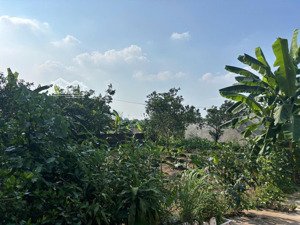 bán đất tại ngõ 112 hạ trại, 235.4m2, sổ đỏ đầy đủ. bán thêm 160m đất vườn, viết tay liền kề 30tr/m