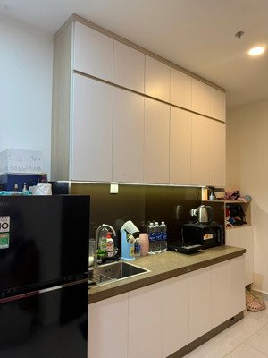 cho thuê căn hộ chung cư ở sunrise riverside