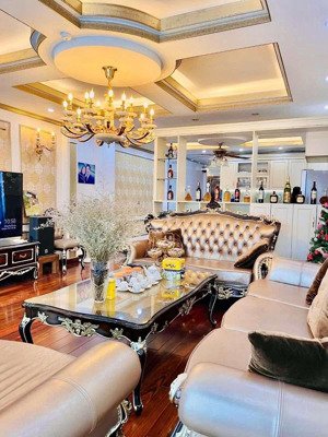 bán nhanh! trần quang diệu, lô góc, mặt tiền rộng, ô tô tránh, kinh doanh đỉnh, khu phân lô vip