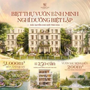 sở hữu căn biệt thự song lập view sông đẹp nhất dự án vốn từ 9.6 tỷ lô 200m2 đẹp nhất vinhomes đp