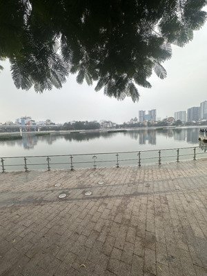 bán nhà mặt phố mai anh tuấn- đống đa, 50m2, 7 tầng, mt 9m, lô góc, thang máy, view hồ, 27 tỷ