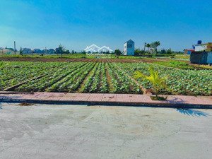 đất sẵn sổ sát biển view biển giá rẻ