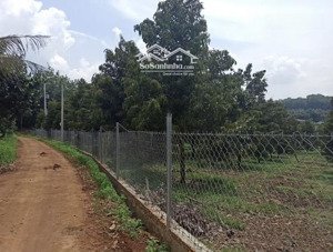 lô đất xã phước an hớn quản đồng nai mới có 100 thổ cư ,sồ hồng riêng ,có dân cư đông đúc.