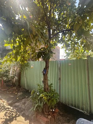 bán lô đất hẻm hoàng quốc việt, phú thuận - 6m x 10m - 4,2 tỷ ko qh - ngay phú mỹ hưng