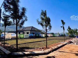 bán đất đẹp hòa lạc 100% thổ cư, sát tỉnh lộ 446, giá đầu tư