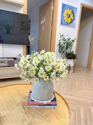 trả giá là bán !!! chính chủ cần bán nhanh căn 2 ngủ hoa hậu full đồ , sđcc tại toà cc mipec city