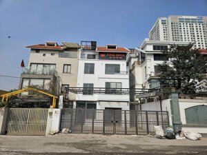 bán biệt thự lô góc phố nguyễn xiển thanh xuân