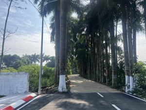 chính chủ 100m2 full thổ cư - vượng khí sinh tài