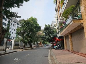 phân lô - ô tô trong nhà-kinh doanh-trần quang diệu-đđa-dt:60m2/4tầng/5,2mmt*25tỷ