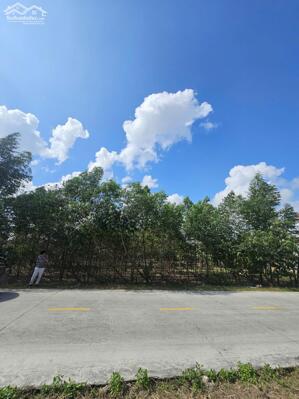 Chính chủ cần bán lô đất 400m² tại khu dân cư Tân Tiến, Phường Hoàng Tiến, TP Chí Linh, Hải Dương.