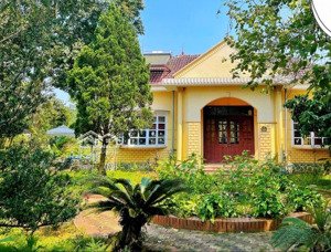 bán villa nhà vườn diện tích đất 3000m2 tại yên bài, ba vì, hà nội