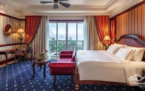 cho thuê căn hộ chung cư vung tau centre point 9 triệu/tháng full nội thất mới đẹp