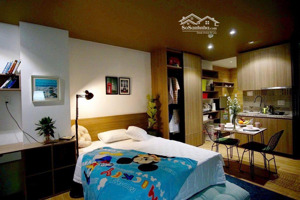 căn hộ mini đường cách mạng tháng tám, quận tân bình