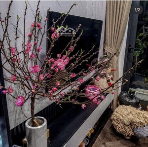 siêu rẻ chung cư vinhomes smart city 4,55 tỷ, 55m2 đẹp, full nội thất cao cấp rất nhiều tiện ích