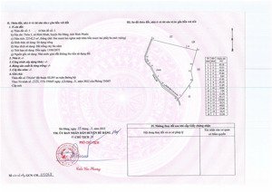 bán vườn điều đang thu hoạch tại xã bình minh, gần 2.3ha, giá 1,2 tỷ/ha, chính chủcó bớt lộc