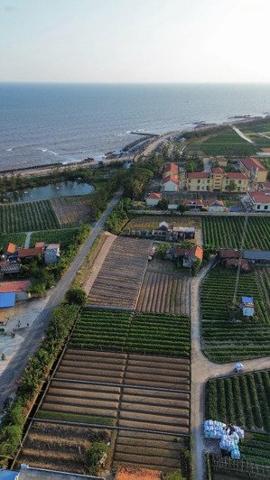 giá chỉ 1tỷ2/lô, thương lượng trực tiếp. đất ven biển thịnh long- nam định.lõi khu kinh tế ninh cơ