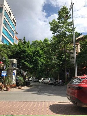 siêu phẩm! nhà mặt phố vip trung kính, 75m2 x 8 tầng, mt 4.2m, vỉa hè đá bóng, kinh doanh bất chấp