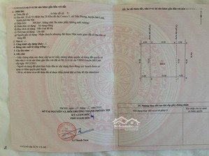 bán đất nền dự án cienco 5 mê linh, 56 triệu / m2, 300 m2, giá siêu hời!