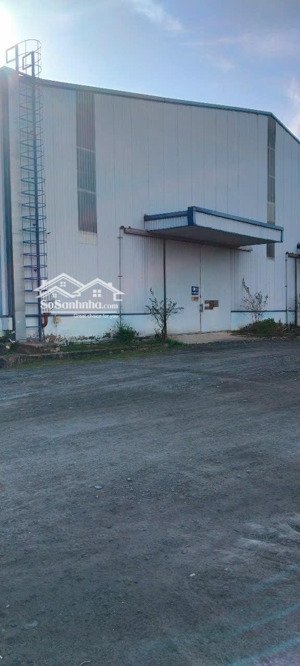 cho thuê kho xưởng 2.000m2 đến 5.000m2, cần giuộc, long an, pccc tự động , khuôn viên : 6ha